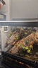 小米米家智能温湿度计3mini 智能家居家用车内高精度温度显示器智能联动高续航迷你便携 白色 实拍图