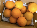 京鲜生 当季鲜橙 5斤装 单果170g起 生鲜水果橙子礼盒 实拍图