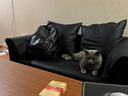 欧木希沙发客厅小户型民宿出租房双三人位大象耳朵懒人直排布艺沙发新款 经典黑-猫抓皮（送两靠枕） 122cm海绵款（双人位） 实拍图