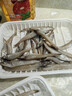 深海野生小沙丁鱼 深海捕捞无添加高DHA低脂 500g/盒一斤40条左右 野生沙丁鱼净重3斤 实拍图