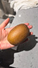 佳沛（zespri）新西兰 阳光金奇异果12粒礼盒特大果单果约122-146g 猕猴桃 水果 实拍图