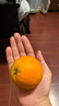 三萌果蔬 爱媛38号果冻橙 眉山丹棱薄皮手剥橙柑橘水果次日达中秋礼盒送礼 9斤装【蕞划算-全家爽吃】净重8.5斤 （尝鲜果）果径60-70mm丨甜 实拍图