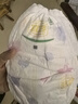 宜婴【品牌直供 安心品质】拉拉裤 男女成长裤 干爽尿不湿空调小内裤 XXL号96片【15-19kg】 实拍图