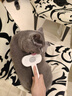 HELLOJOY狗狗梳子猫毛清理狗毛梳毛刷猫咪宠物用品中大型犬针梳去浮毛神器 实拍图