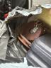 新款进口钓鱼线主线绑好的鱼线组套装全套台钓成品正品超强拉力 4.5米丨6卷【八字环款】送6轴盒 2.5号 实拍图
