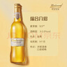 百威金尊啤酒500ml*12瓶整箱装Supreme（效期9个月） 七夕送礼  实拍图