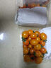 京喜加夏日阳光小番茄黄色迷恋圣女果即食水果小柿子现摘现发减肥 黄色圣女果五斤装 实拍图
