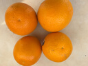 美国进口新奇士3107黑标脐橙Sunkist进口橙子甜橙单果170-210克 10个大果 实拍图