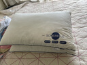 安睡宝（SOMERELLE）全棉酒店三防枕头护颈枕睡眠颈椎病深度睡眠专用枕芯儿童单人低枕 实拍图