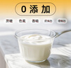川秀进口双歧40菌双歧杆菌酸奶发酵菌酸奶粉自制酸奶菌粉酸奶发酵剂 实拍图