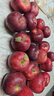 玖原农珍 甘肃静宁富士大漠冰糖心苹果源头直发采摘新鲜礼品水果含箱 9斤净果8.5斤精选果70-80mm 实拍图