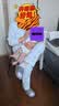优奇宝宝琵琶衣夏季婴儿衣服夏天薄款肚兜哈衣背心纯棉夏装洋气小熊猫 实拍图
