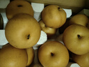 甜萌果蔬山东秋月梨 新鲜水果冰糖梨 送人送礼当季水果年货送礼盒 5斤精选果装【爆甜多汁】净重4.5斤 实拍图