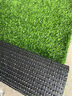 夺秀 仿真草坪地毯塑料假草皮 人造草坪阳台户外人工草坪幼儿园假草坪 20mm标准款耐用春草/平方 高等级 实拍图