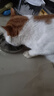 神经猫猫零食冻干猫咪零食鸡胸肉冻干成猫幼猫营养增肥主食猫粮鸡肉粒 【100%大块鸡胸肉】 500g*1桶 【1桶约45个】 实拍图