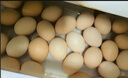 东方甄选谷物鲜鸡蛋/DHA/大码蛋可生食新鲜营养早餐溏心蛋生鲜谷物喂养 15枚 0.75kg 谷物鲜鸡蛋 实拍图