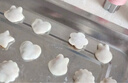 COOKSS 蝴蝶面模具【自动封边】婴儿辅食模具馄饨模具云吞小混沌工具 实拍图
