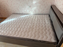 清寻天然椰棕床垫棕垫偏硬棕榈床垫子天然乳胶榻榻米定制棕榈健脊床垫 6CM厚（防螨混纺面料+3CM椰棕） 1.5米*2.0米 实拍图