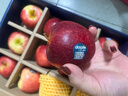 京鲜生 Mr Apple新西兰Dazzle丹烁苹果12粒装单果180-220g 水果礼盒 实拍图