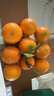 春公子正宗四川爱媛38号果冻橙 时令水果橘子 当季桔子应季柑橘礼盒 家庭尝鲜装约6-10个净重1.5斤+ 实拍图