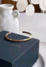 丹尼尔惠灵顿（DanielWellington）dw手镯女时尚首饰玫瑰金情侣对镯生日礼物送女友DW00400003 实拍图