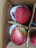 遇见悯农正宗天水花牛苹果甘肃面苹果应季新鲜水果蛇粉面果刮泥生鲜整箱包 甘肃天水花牛苹果（含箱5斤） （小果很小不推荐）60-70mm 晒单实拍图