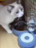 甜浪海猫碗双碗自动喂食器不锈钢狗盆幼猫吃饭喝水防打翻饮水机宠物食盆 实拍图