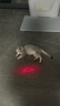 加仕高逗猫激光笔猫玩具逗猫棒三合一幼猫的非神器小猫咪玩具 实拍图