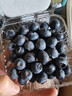 山姆伯伯 蓝莓巨无霸【空运-多地次日达】新鲜鲜果水果礼盒年货节送礼 【超甜·特大果| 金标】18mm+ 125g*4盒装【巨划算-80%人选】协会推荐* 净400g 实拍图