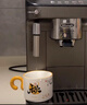 德龙（Delonghi）【政府补贴】咖啡机 家用全自动咖啡机 15Bar意式美式现磨手动打奶泡 欧洲进口理想 E Plus 实拍图