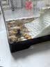 Barbarous Growth乌龟饲养缸生态造景家用带盖小型别墅爬台底部排水专用箱巴西龟缸 盖板+晒台+雨淋过滤+晒背灯+礼包 中号-30*18*18cm 黑色【防逃逸|加厚|加高】 实拍图