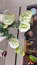 云南鲜花批发品质玫瑰百合水养鲜切花送女友水养鲜花源头直发 香槟（蜜桃雪山）-20支 【任选2件—不收运費】 实拍图