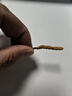 同仁堂品牌冬虫夏草约4根/g2g约8根中老年人营养滋补礼品养生北京同仁堂 实拍图