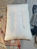 罗莱家纺枕头枕芯单人成人枕床上决明子荞麦呵护枕 草本枕花草枕 全棉决明子荞麦中枕-单只装 46cm*72cm 实拍图