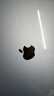 Apple/苹果AI笔记本/2025款MacBookAir13英寸M4(10+10核)16G1T天蓝色电脑Z1H800021 实拍图