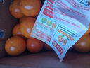 京喜加【双十一抢鲜】冰糖橙甜橙纯甜无酸水果 当季新鲜手剥橙现摘现发 冰糖橙带箱2斤 55mm普箱 实拍图