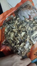 鹿茸菇干货鹿茸菌500g毛重古田脆脆菇新鲜土特产煲汤食材香菇 【当季新货】农家鹿茸菇 250克 实拍图
