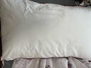 水星家纺枕头枕芯酒店枕头护颈枕头芯家用一对纯棉抗菌可水洗高枕48x74cm 实拍图