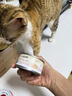 顽皮（Wanpy）鸡肉莓果猫罐头80g*24罐（汤汁型）猫咪零食湿粮 happy100果饭儿 实拍图