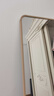 密林穿衣镜落地全身镜挂门服装店试衣镜简约家用壁挂镜 金色框160*50 实拍图