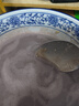 美的（Midea）1.6L安睡破壁机家用豆浆机全自动免洗静音降噪3-4人用 分体轻量杯不粘涂层料理榨汁机025 国家补贴 实拍图