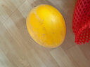 京鲜生 黄金哈密瓜 1-2粒 净重6-7斤 源头直发包邮 实拍图