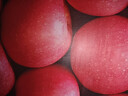 京鲜生 烟台红富士苹果 净重5斤  单果190g起 水果礼盒 实拍图