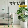 芷郁植物支撑杆花架防倒伏支架园艺吊兰月季架子绿植爬藤架 45cm5支 实拍图