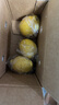 广东香水黄柠檬包邮新鲜水果柠檬精选皮薄奶茶店专用整箱 现货 柠檬带箱2斤单果70g+约10-18个 实拍图