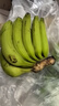 高山精品甜蕉现摘新鲜水果香蕉孕妇宝宝辅食搭配丫丫生鲜特产 9斤装【青蕉发货】 实拍图