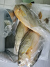 鸿顺【冰鲜】黄花鱼4条4斤 生鲜鱼类 宁德大黄鱼 地标产品 源头直发 实拍图