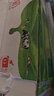 蒙牛全脂纯牛奶200ml*24盒  教师节礼盒装 电商定制 部分地区5月产 实拍图
