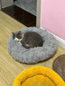 贝初众猫窝冬天冬季保暖狗窝猫床四季通用猫垫子冬天用猫咪窝网红猫窝 浅灰色 直径42cm【8斤内猫 5斤内狗】 实拍图