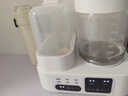 小壮熊 婴儿恒温水壶 奶瓶暖奶消毒器 冲奶机暖奶专用温奶泡奶家用 1.5L 实拍图